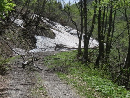 reste avalanche sur le chemin de chérel