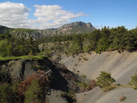 Ravines des Michons