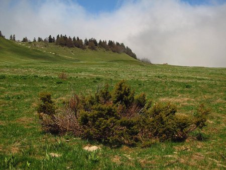 Au plateau de la Molière.