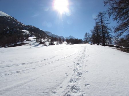 Le soleil déjà bien présent