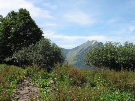 Combe et Dent d’Arclusaz vus du sentier de montée