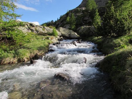 Torrent du Diolon