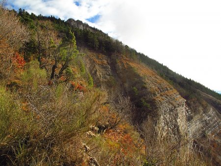 Ranc de Chamoussière.