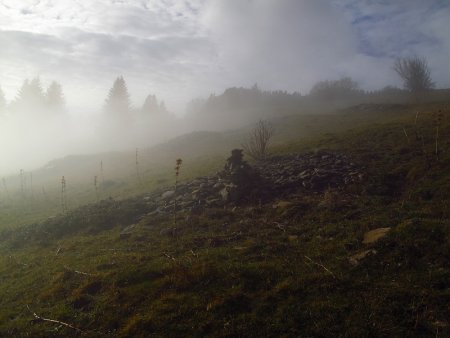 Brume à la Molière.