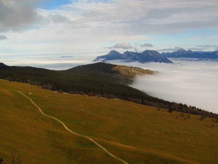 Le plateau de Sornin