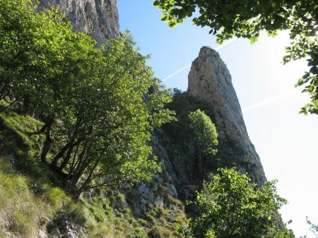 L’Aiguille et le Pas vus du bas