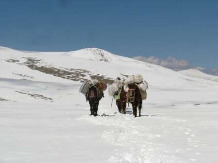 Arrivée au Yalung Nyau La 