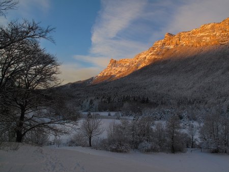 La tourbière du Peuil