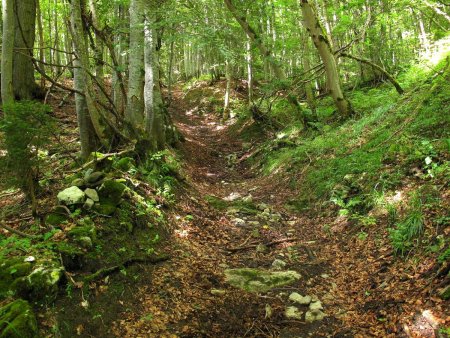 Chemin secret au-dessus de Sarcenas.