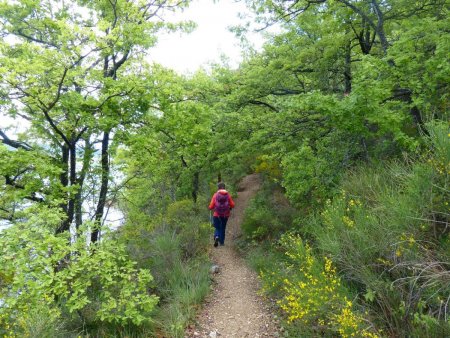 chemin faisant