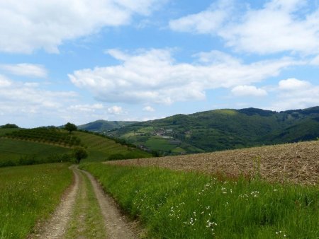 vue dégagée sur les monts du lyonnais