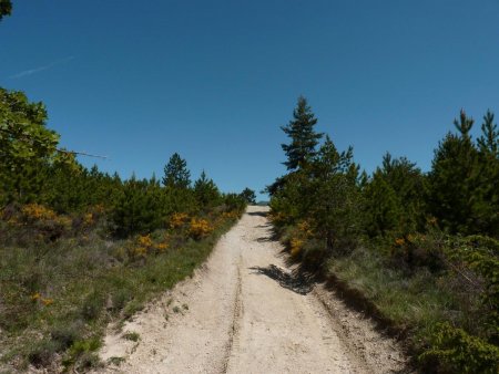 Arrivée au col de Fontaube.