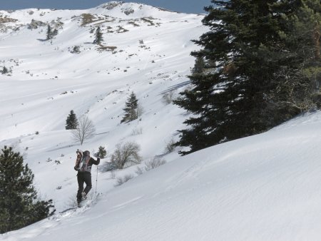 Sous Côtes Fouillouses.