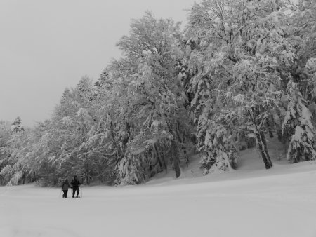 blanc manteau