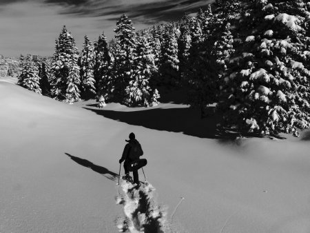 paysage de neige sur le plateau