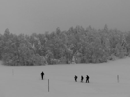 dans le pré de Crobache