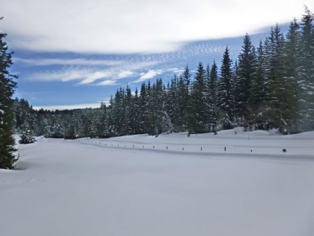 Le long des pistes d’attelage