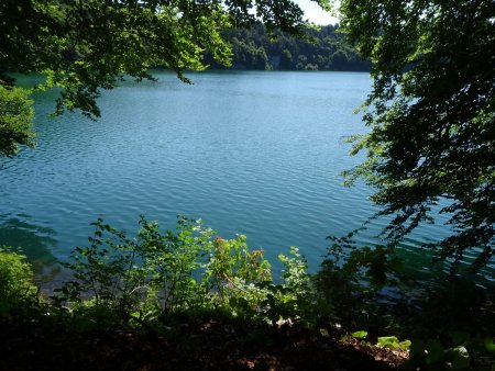 Lac Pavin