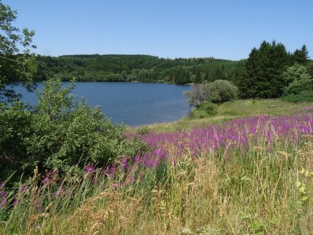 Lac de Guéry