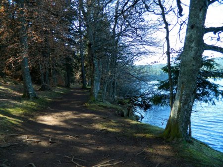 Le chemin du «tour du lac».