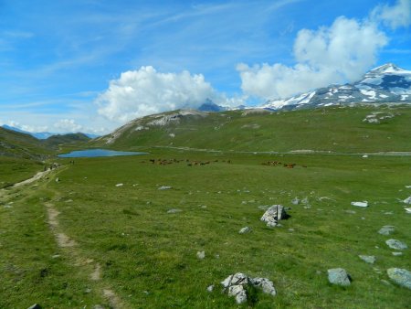 Lac du Plan du Lac.