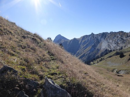 Montée : au loin le Trélod