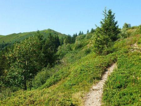 Montée vers le col du Champet