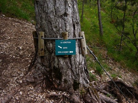 L’échappatoire de la Jonction.