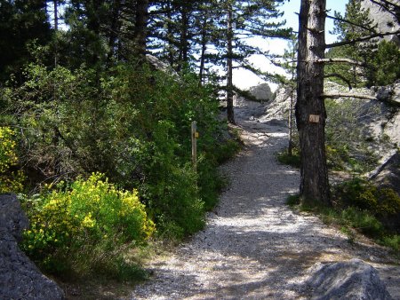 Départ du pont sur la Drôme.