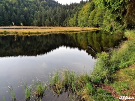 Dernier coup d’oeil sur la Tourbière de Lispach