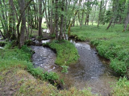 Marais de Bourget-en-Huile