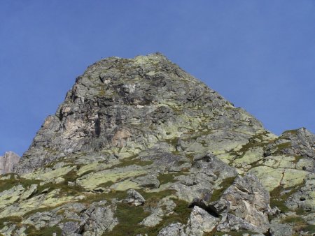 Face SE de la tête de la Balme.