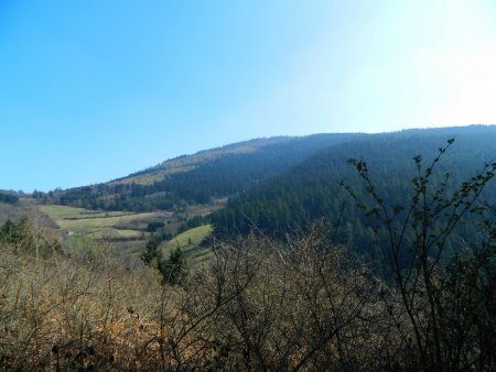 La Chaux de Toureyre.