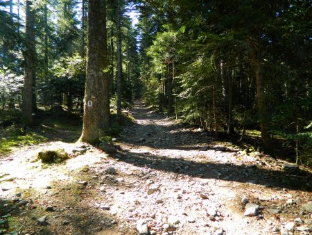 Les deux chemins se rejoindront un peu plus loin.