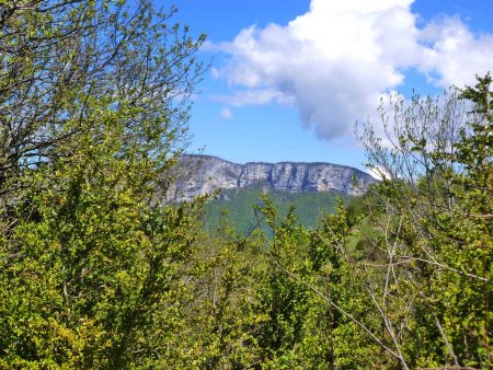 Vue sur le Peney