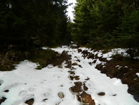 Un peu de neige.