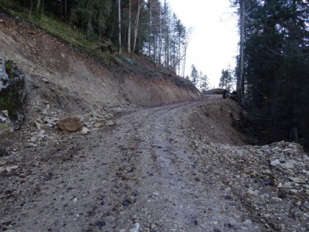 Nouvelle piste forestière de Montlardier