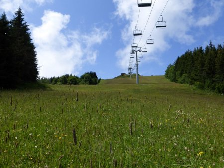 Sous le télésiège