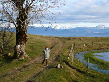 Les prés du sommet et la mare du Comte. Au fond, Bornes et Mont-Blanc.