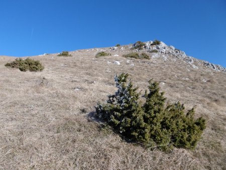 Montée au sommet du Sarrier.