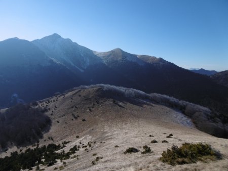 Toussière dans le rétro.