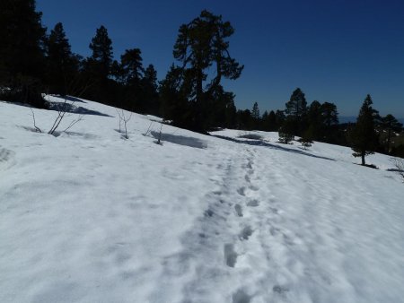 Si le plateau est plein de neige, faites demi-tour !!