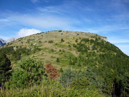 De la cote 1607m.