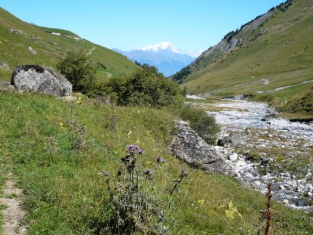 Vallée du Nant Brun et Mont-Blanc.