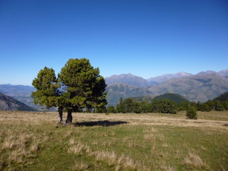 Belle vue de l’alpage.