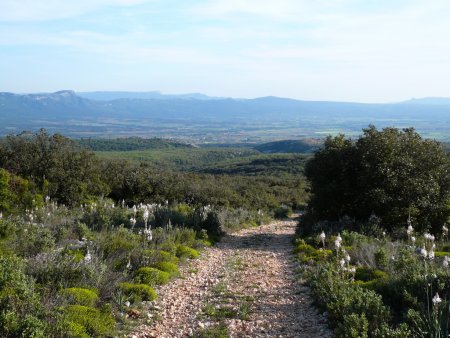 Le Regagnas au centre, depuis le chemin qui monte au Pain de Munition (photo hors itinéraire).