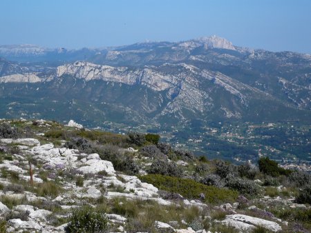 Massif de la Sainte-Baume depuis le plan de l’Aigle.