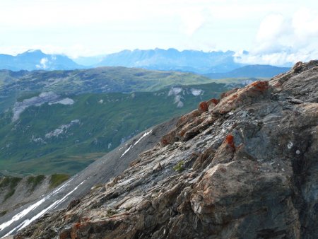 Plateau des Enclaves et Aravis depuis le sommet.