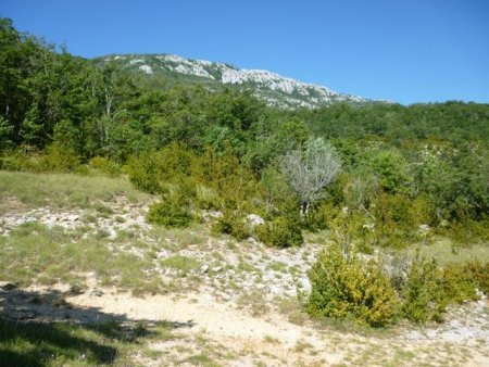 le Grand Margès 