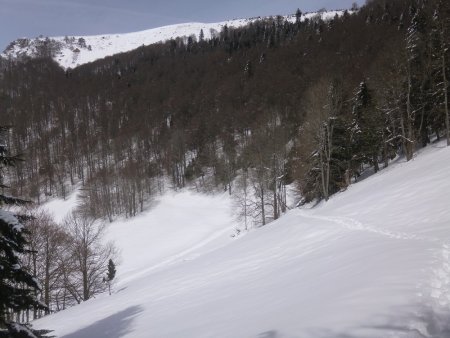 Au retour dans la combe, on peut constater que la neige a déjà bien fondu dans les arbres